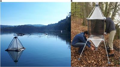 Fatty acid composition differs between emergent aquatic and terrestrial insects—A detailed single system approach